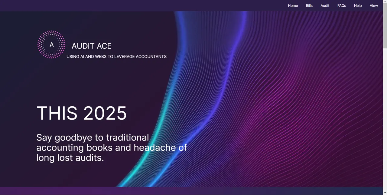 Audit ACE screenshot